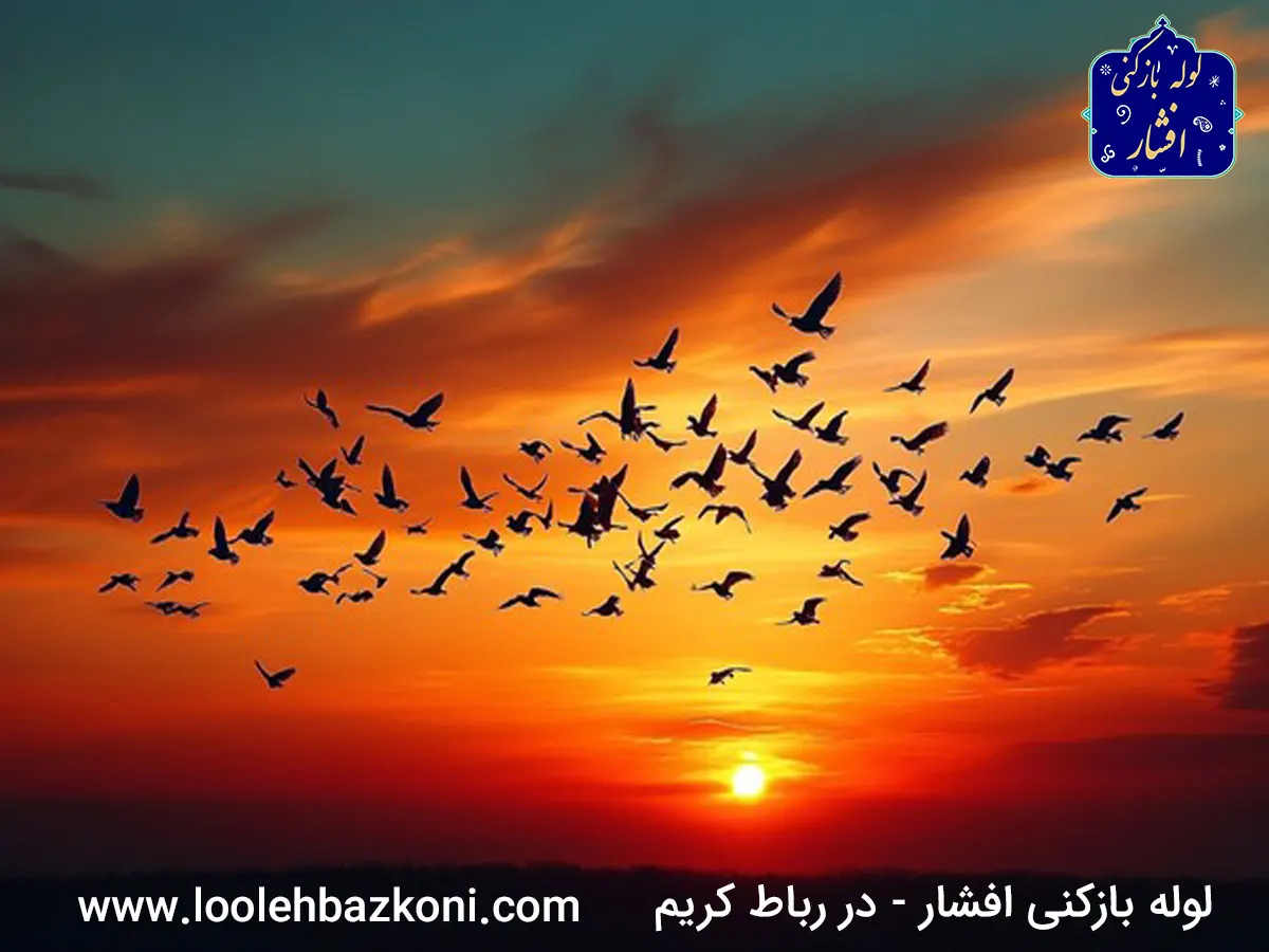 لوله بازکنی در رباط کریم